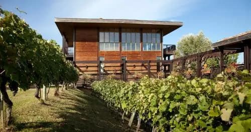 Résidence Les Vignes - Photo 3