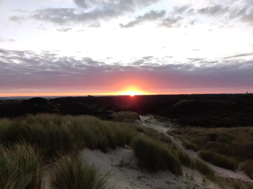 Pilets de la Baie D'authie - Photo 3