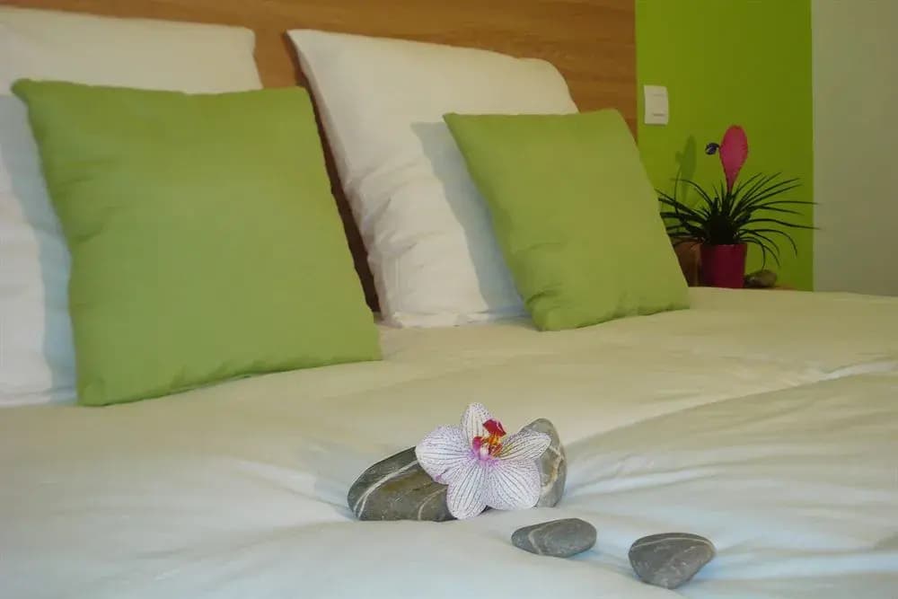 Hôtel La Palmeraie - Photo 4