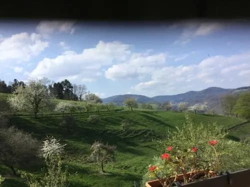 Auberge Du Sobach - Photo 3