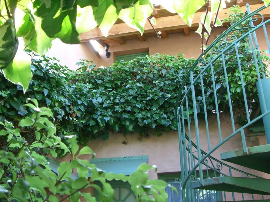 Vert Hôtel Résidence - Photo 2