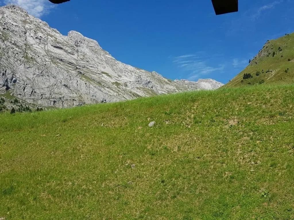 Appartement Le Grand-Bornand, 1 pièce, 4 personnes - FR-1-241-170 - Photo 5