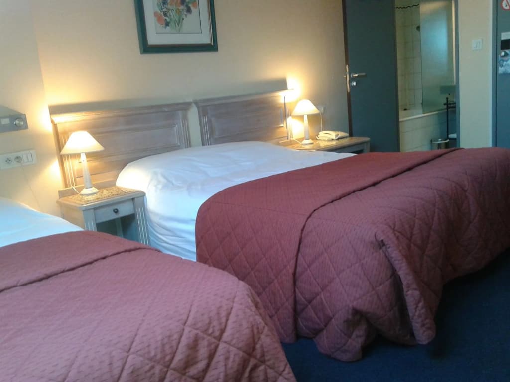 Hotel Reims aux Sacres - Photo 3