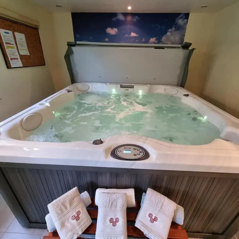 Gite Myosotis 2 personnes avec SPA - Miniature 7