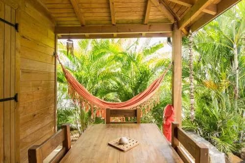 Iguana Ecolodge - Miniature 7