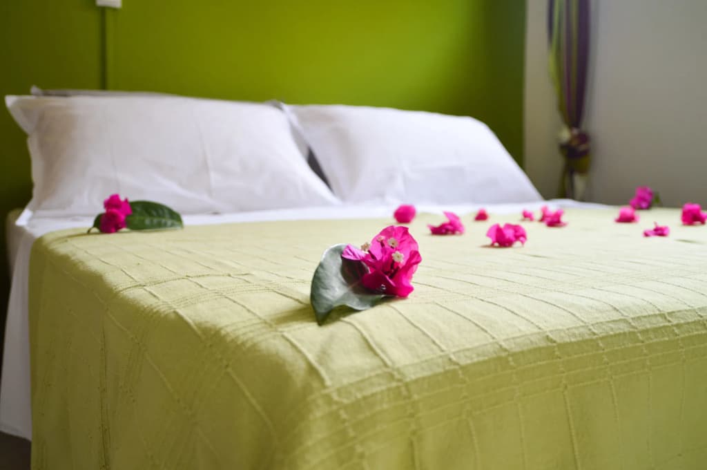 Hotel Tante Arlette - Photo 3
