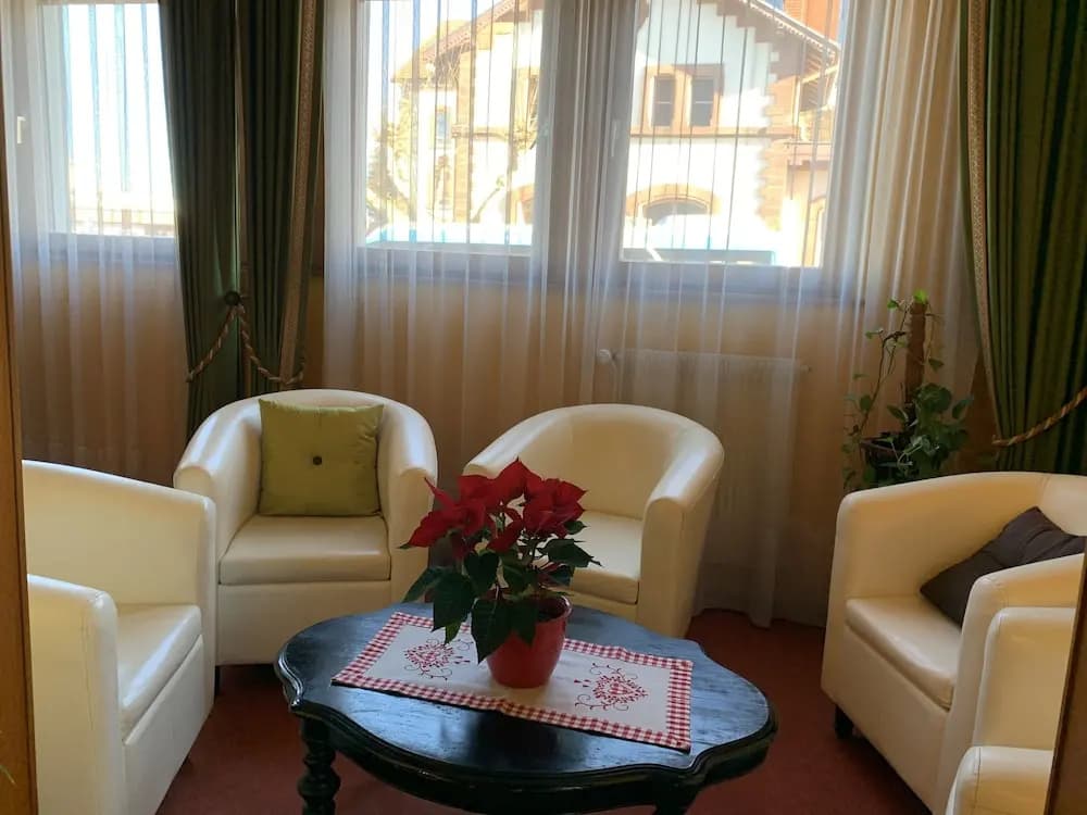 Citotel Les Vosges - Miniature 7