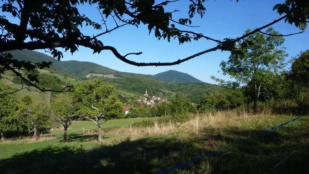 Gîte Schlitteur Et Sapiniere - Photo 4