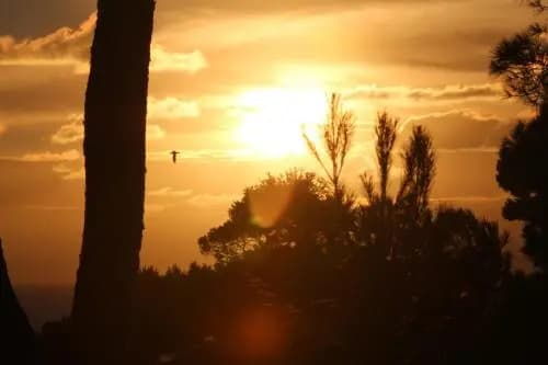 Villa Calanques - Photo 3