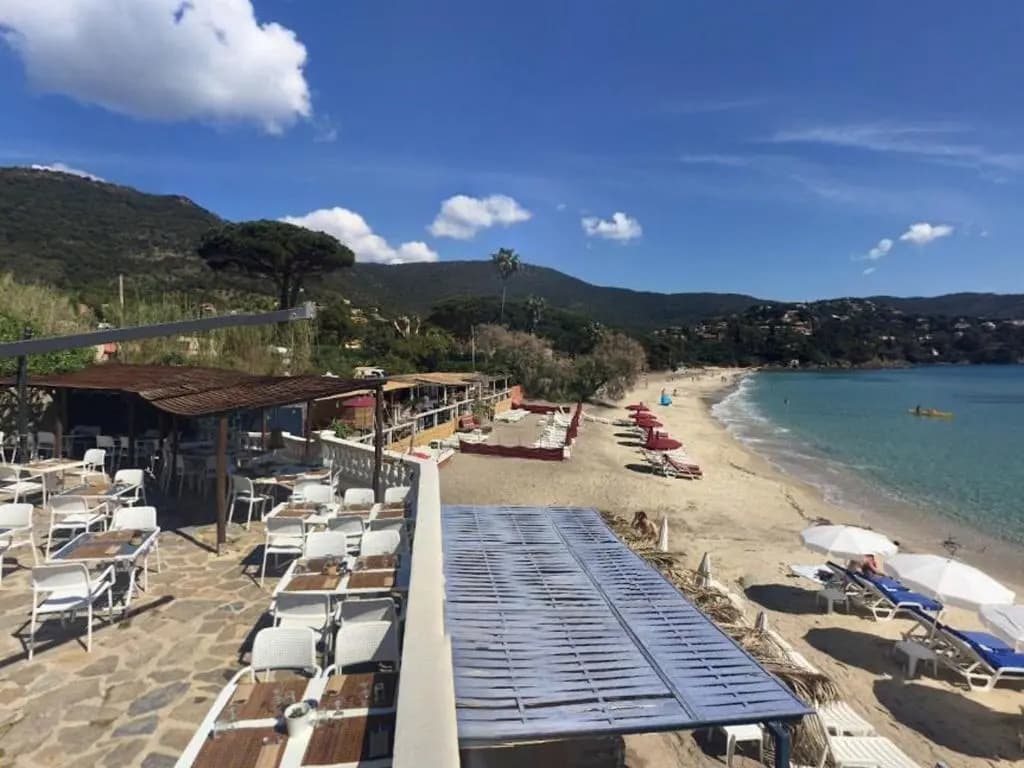 Appartement Le Lavandou, 3 pièces, 8 personnes - FR-1-251-81 - Miniature 6