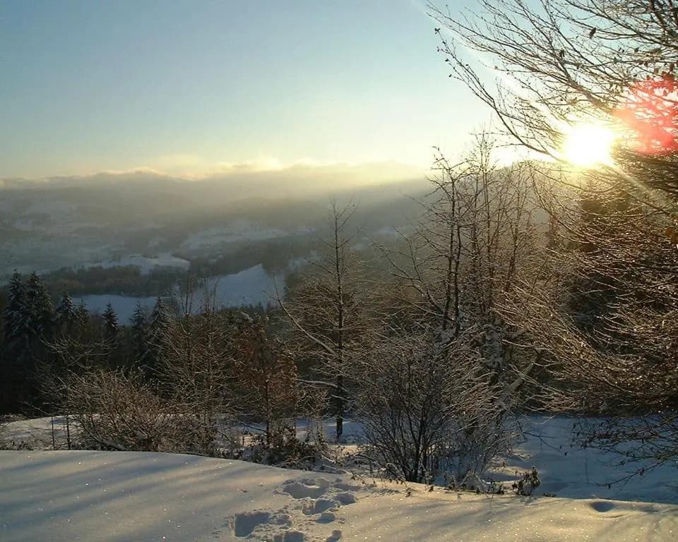 Auberge du Grammont - Photo 4