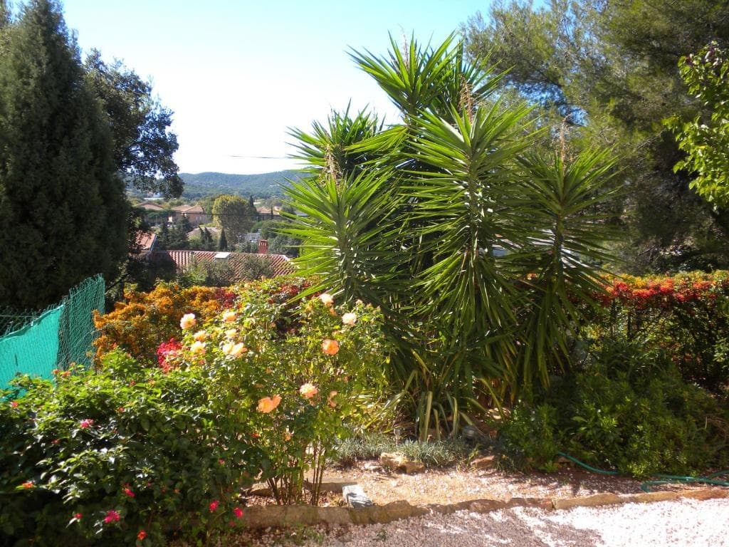 Ecrin de verdure sur Le Lavandou - Classement Tourisme 3 Etoiles - Miniature 8