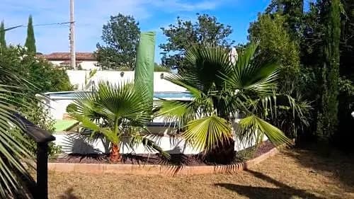 The Gite De Lyly - Photo 3