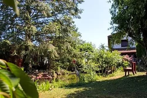 La mare aux canards - Photo 2