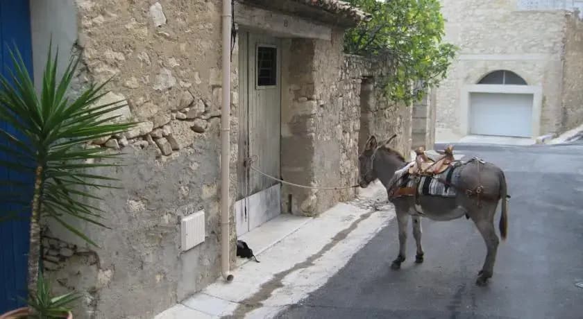 La Maison des Iles - Photo 5