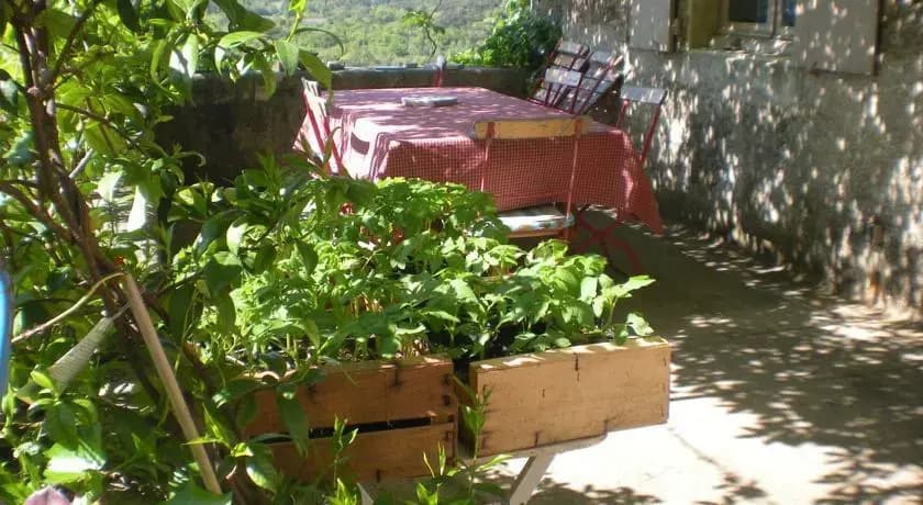Domaine d'Audabiac - Photo 3