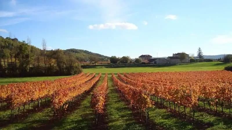 Terres de France Prayssac - Photo 2