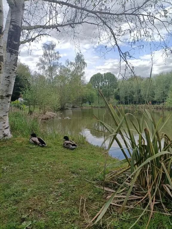 Au Saule Pleureur - Photo 4