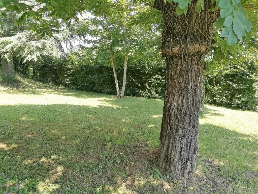 Douceur En Campagne - Miniature 7