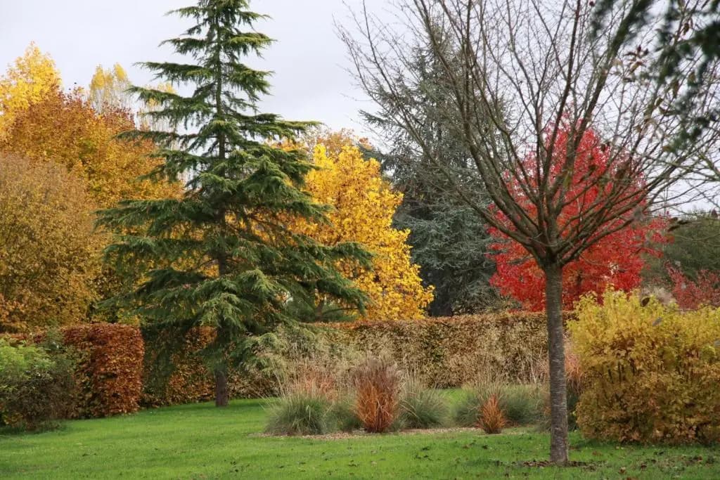 Les Jardins de L'Aulnaie - Photo 1