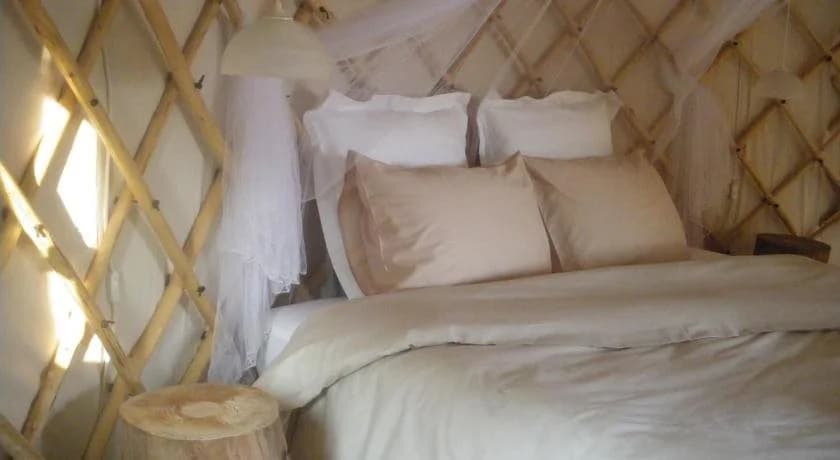 Mira Ceti Yurt - Photo 5