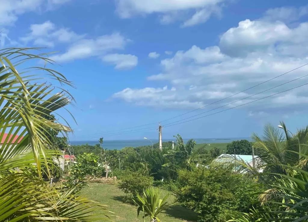 Bel appartement t2 avec vue sur palmier et mer - Photo 5