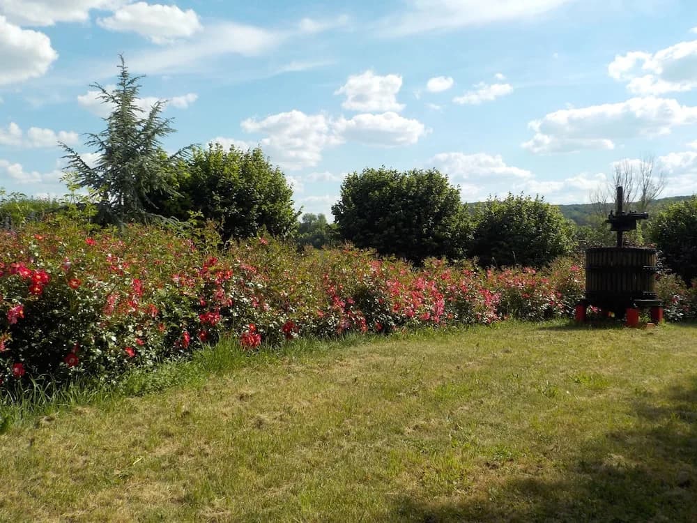 La Colline aux Fustes - Photo 4
