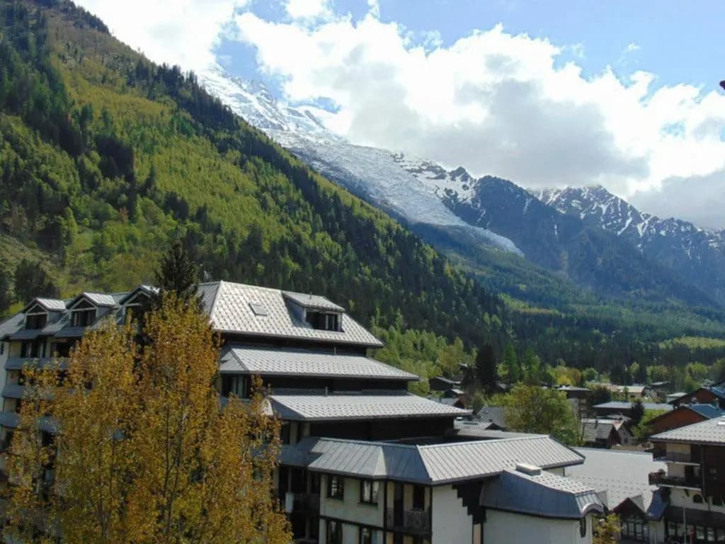 Appartement Chamonix-Mont-Blanc, 2 pièces, 4 personnes - FR-1-517-18 - Miniature 8