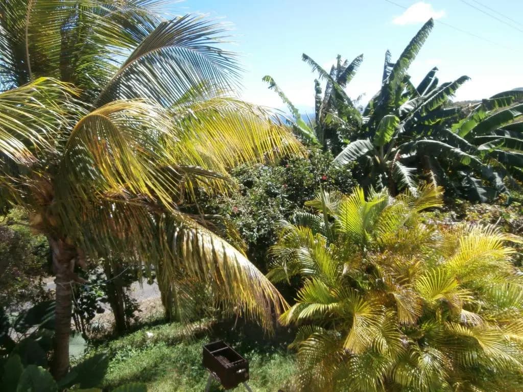 Villa Alizea - Photo 2