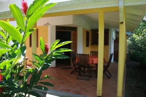 Les Cycas - Photo 4