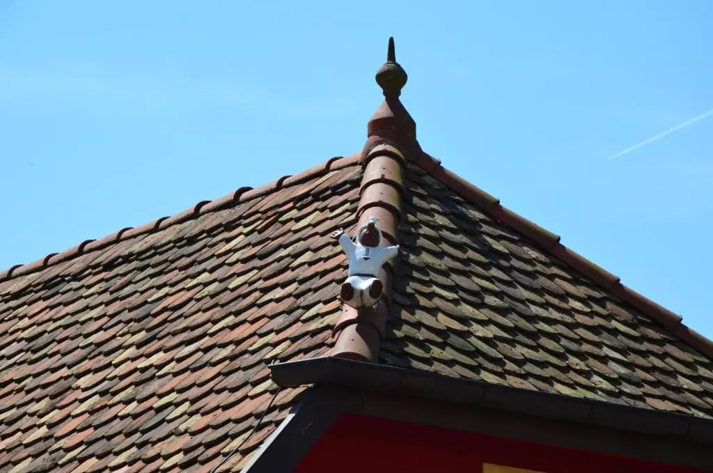 Gîte de la Doller - Photo 1