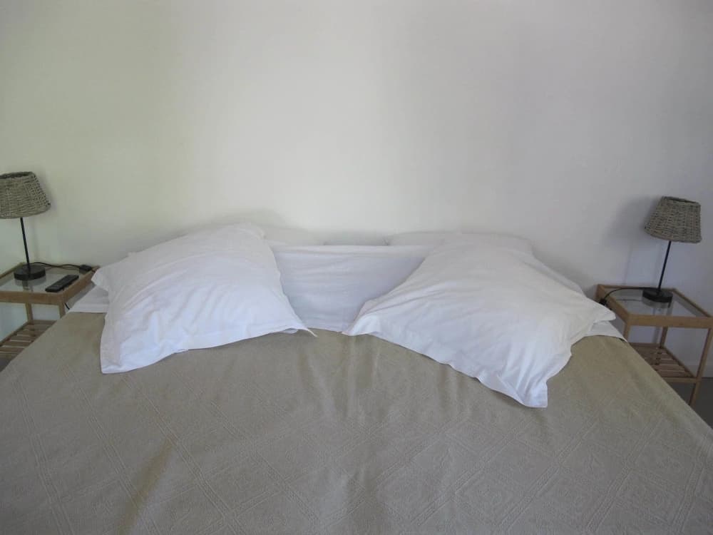 Lou Cardalines - Photo 5