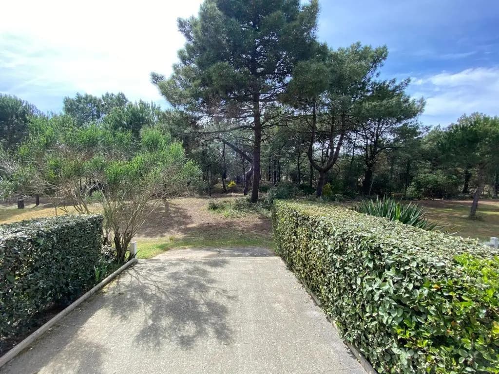 Appartement au bord de mer - Photo 1