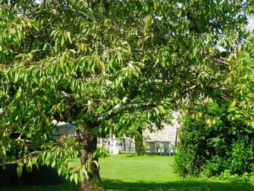 Domaine les Messauts - Gîte le Figuier - Photo 3