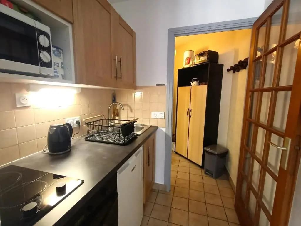 Studio Aix-les-Bains, 1 pièce, 2 personnes - FR-1-555-20 - Miniature 8