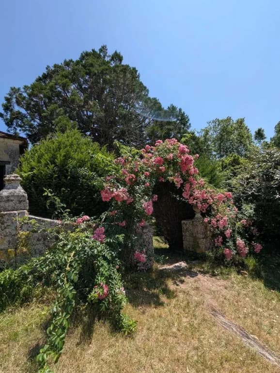 Domaine de la Dordrona - Photo 3