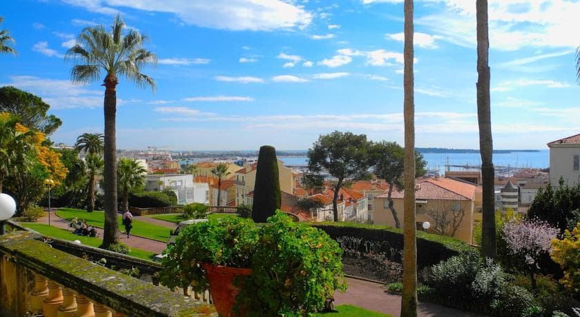 Les Palmiers de Cannes - Photo 2
