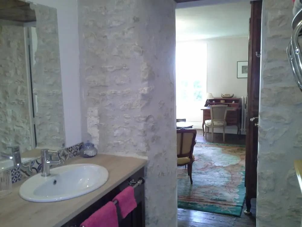 Le Logis De Ruelle - Miniature 8