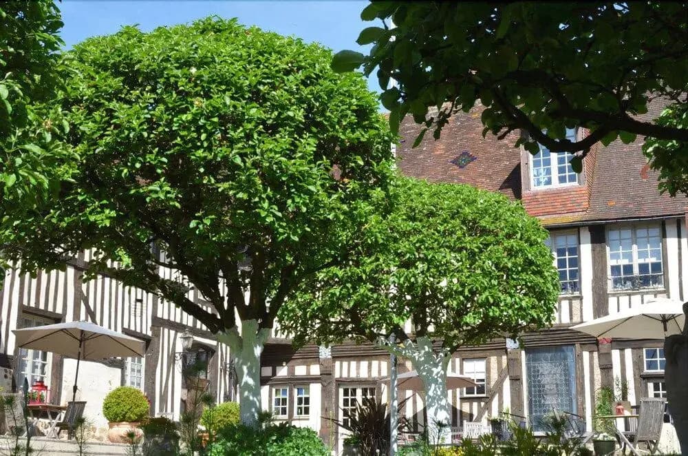 Le Manoir de l'Engagiste - Photo 1