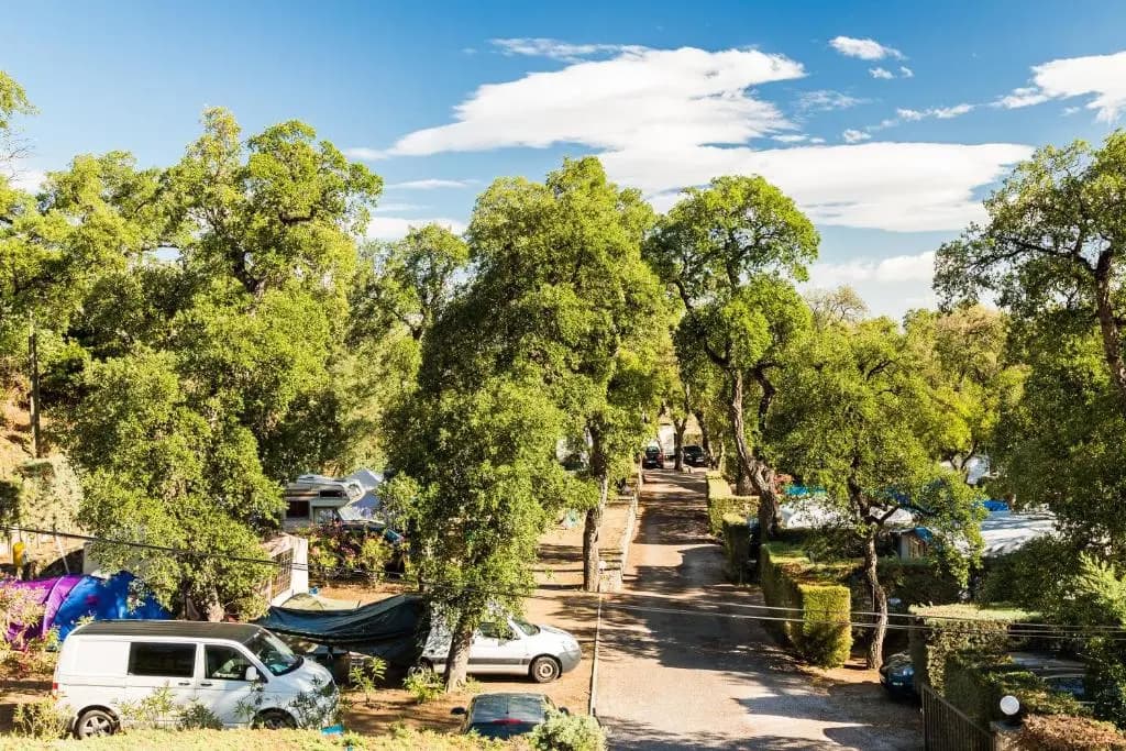 Camping Des Mimosas - Photo 5