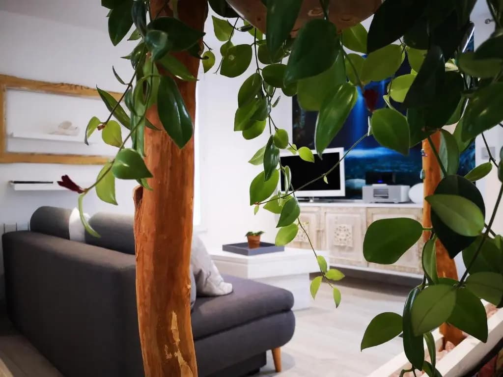 La Maison Dayona - Photo 1