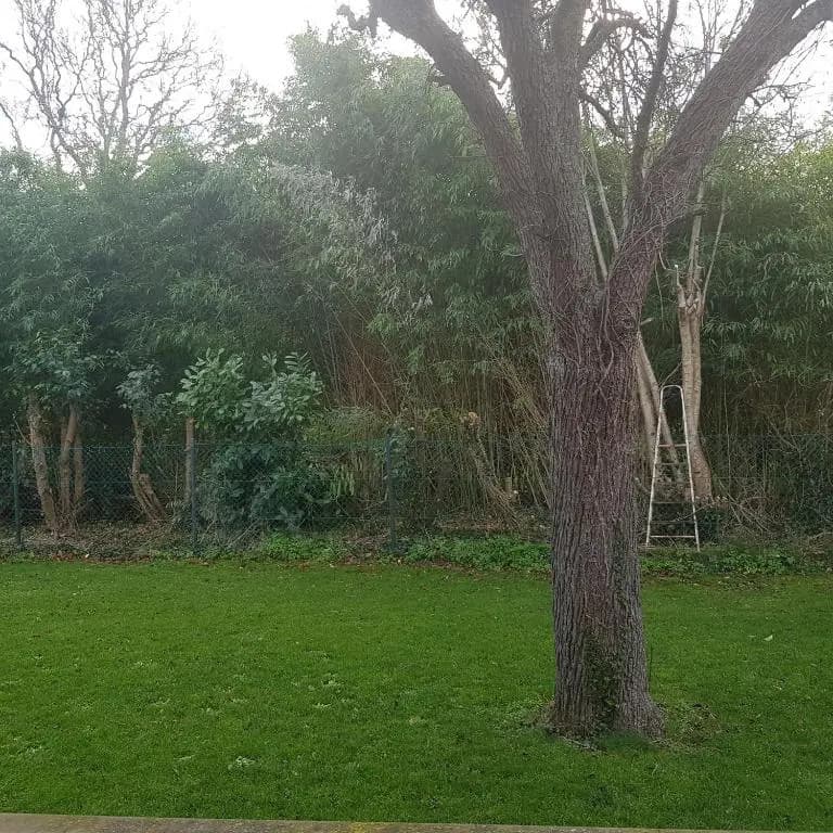 Maison architecte - Photo 1