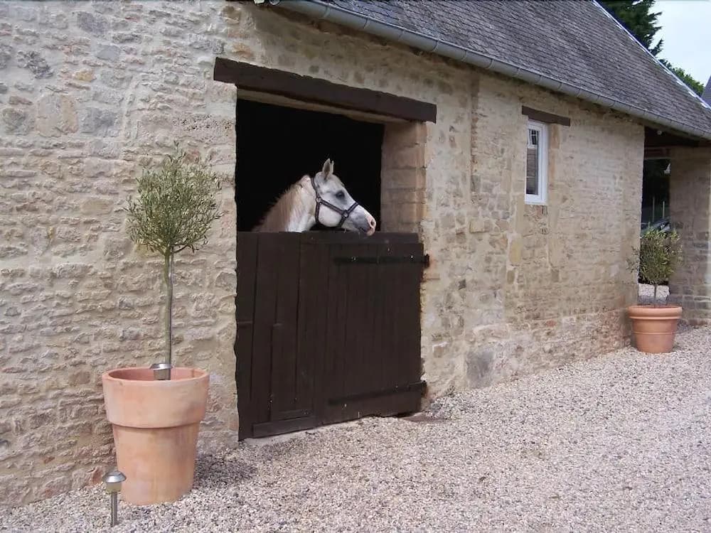 Gite Ferme d'Ervée de Saint-Roch - Photo 4