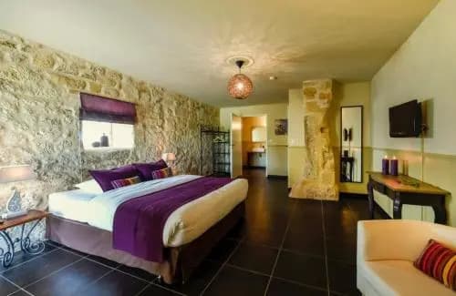 Bed & Breakfast / B&B / Chambre d'hôtes Bleu Raisin - Saint-Emilion - Photo 4