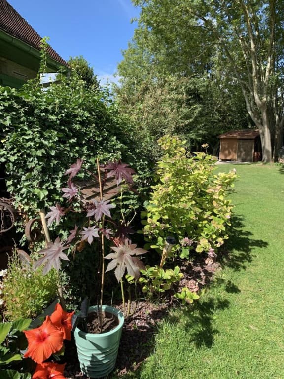 L'Orée de Giverny - Miniature 6