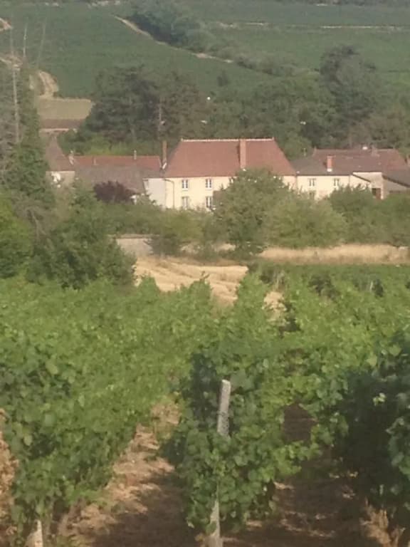 Le Logis d'Azé - Miniature 8
