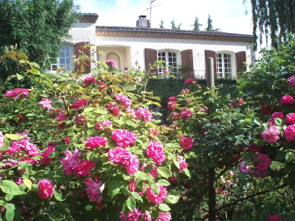 Au Soleil d'Albi - Photo 1