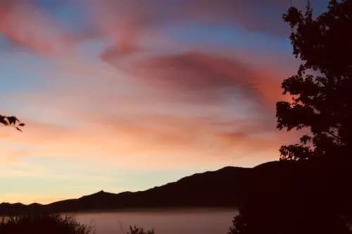 Infocus-Du-Sud - Photo 5
