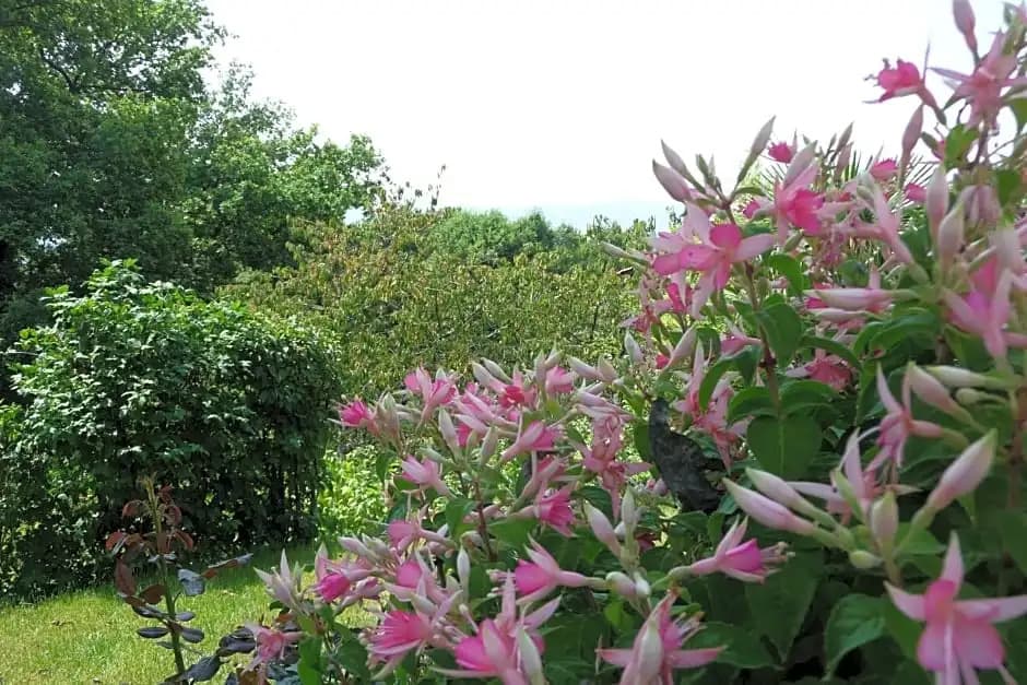 Le Relais des Malettes - Photo 5