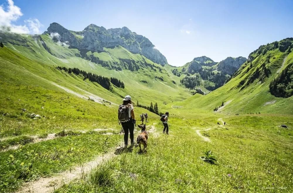 Voinettes Vnb8 Telecabine & Mountain 4 Pers - Miniature 7